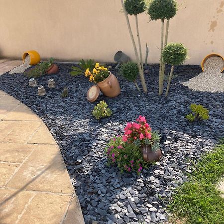 Petite Maison Dans Le Jardin Ars-en-Ré Kültér fotó