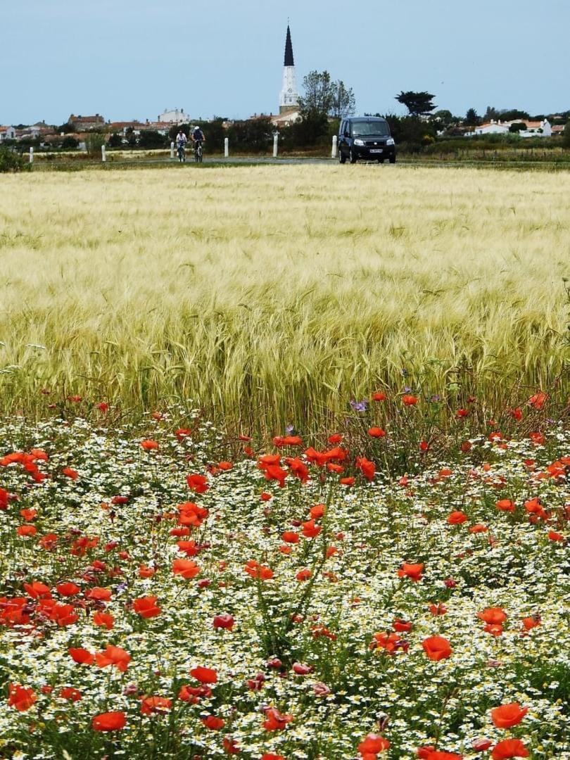 Petite Maison Dans Le Jardin Ars-en-Ré Kültér fotó